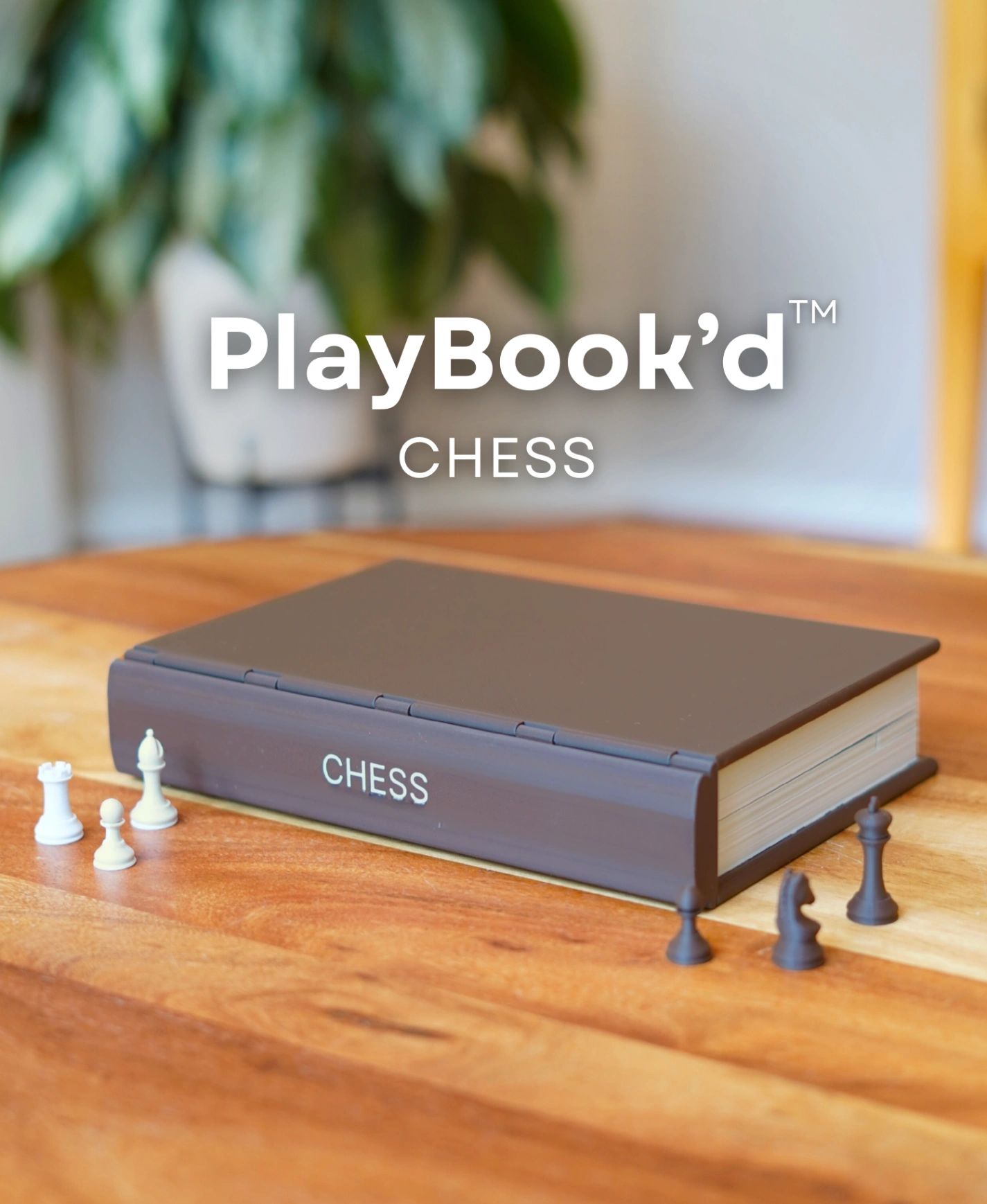 Chess (Board Game)