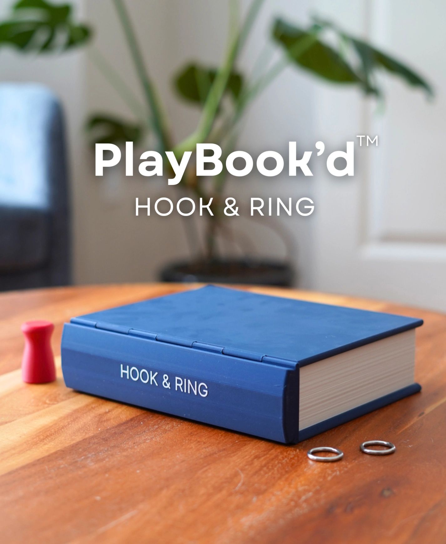 Hook & Ring (Board Game)