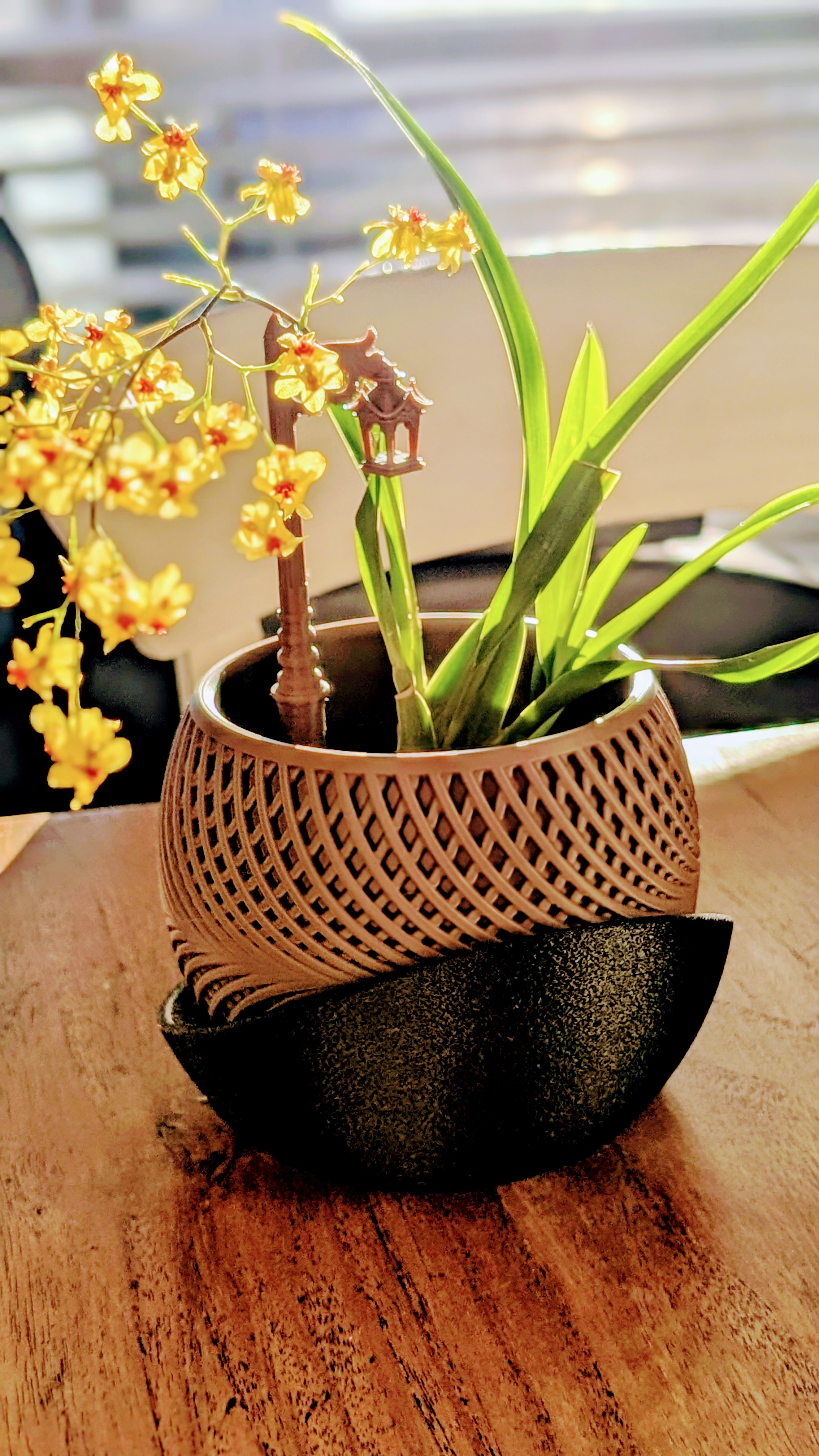 Indoor Planter