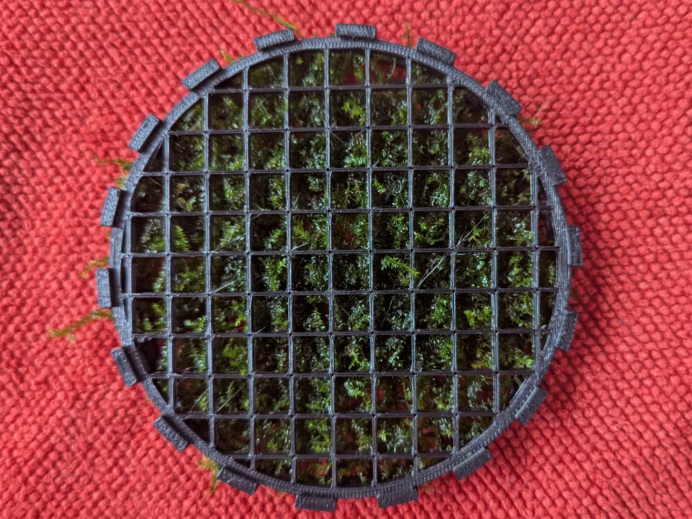 Aquarium Moss Plate
