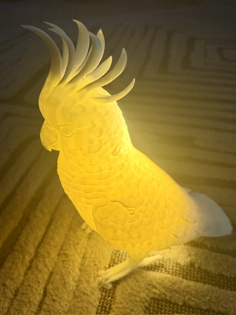 Cockatoo Night Light