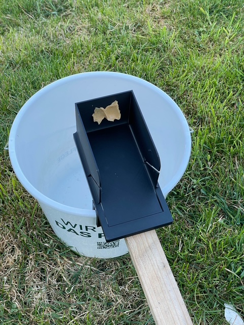 Rat trap