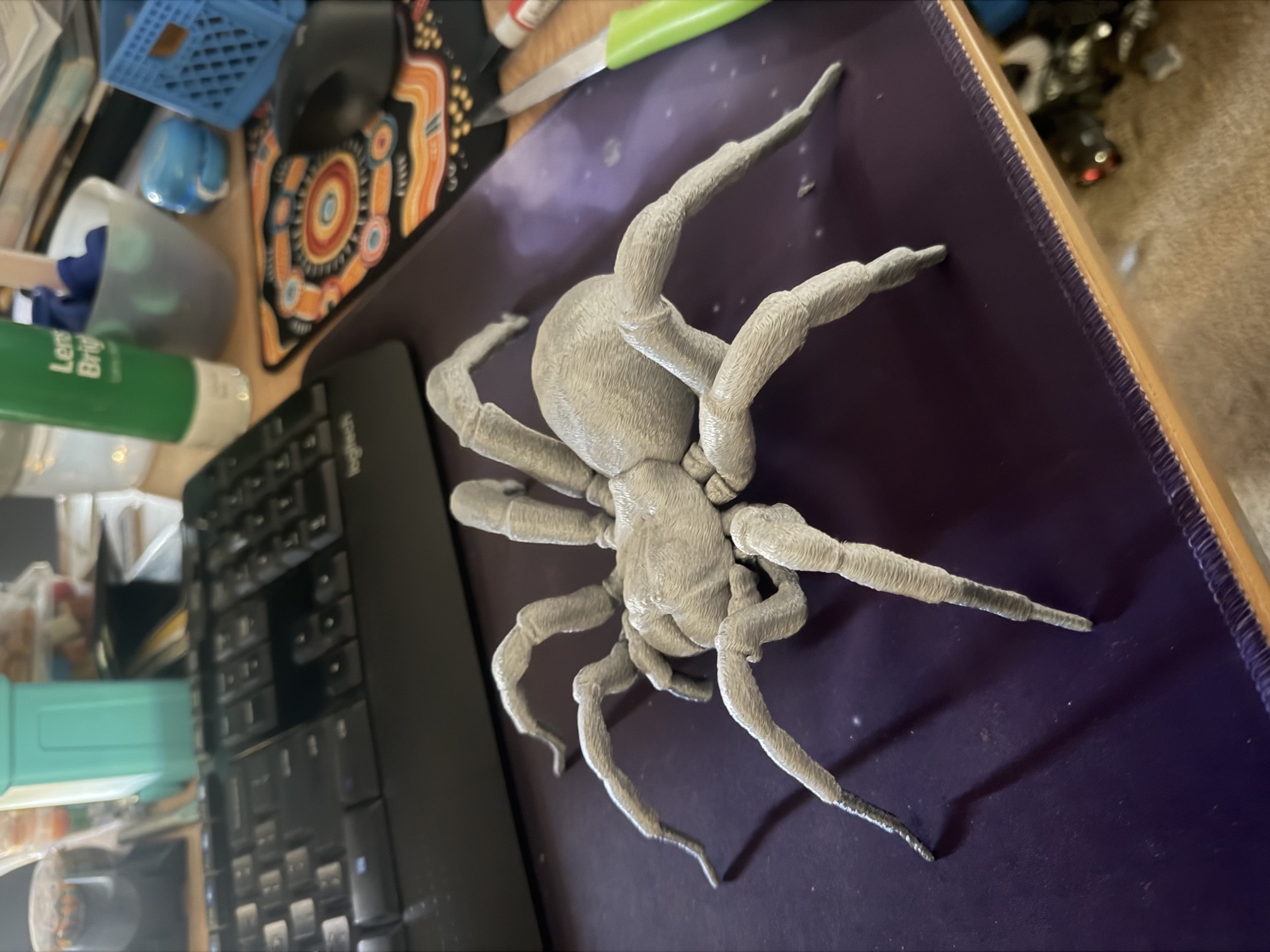 Spider
